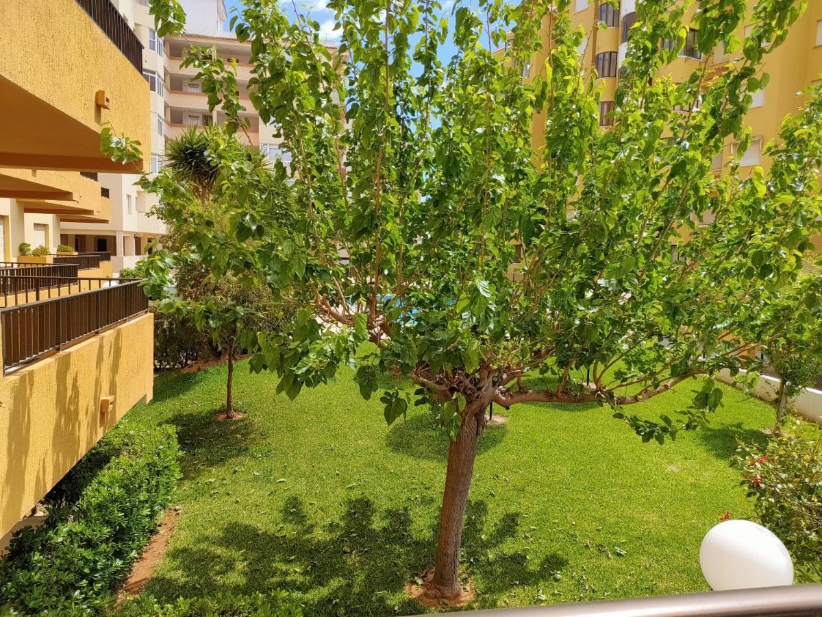 Tamaris Playa Solo Familias Serviplaya 普拉亚西拉科 外观 照片